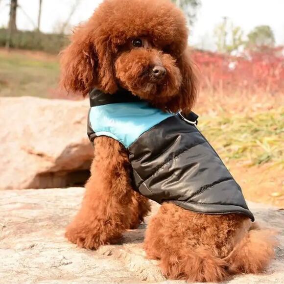 New small dog rain jacket - Picture 6 of 9